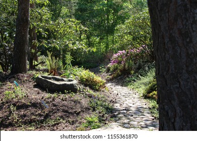 Sunlit garden in spring
