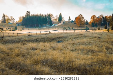  sunlit meadow with tall grasses swaying in the breeze, bordered by a wooden fence leading towards the distant forest. The scene is bathed in warm autumn light, with the colorful foliage of trees - Powered by Shutterstock