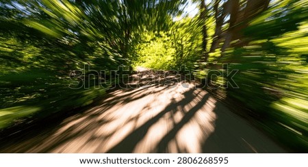 A sunlit park path is captured with a strong motion blur effect, creating streaks of light and shadow.
