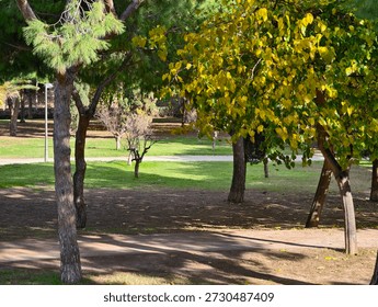 Sunlit park path framed by trees casting long shadows across grass, picnic areas and seating visible, relaxed
