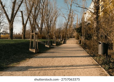 Sunlit Park Path with Young Trees and Long Shadows