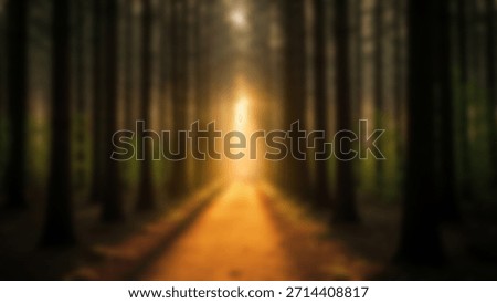 Sunlit Path Through a Dense Forest with Glowing with Hope and Mystery.