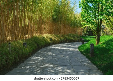 Sunlit path winds through tall bamboo grove. Green grass borders the stone-paved walkway. Shaded by trees, the path curves gently ahead. Bright leaves cast dappled shadows on the ground