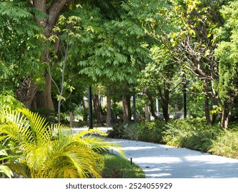 Sunlit pathway through a lush green park surrounded by tall trees, bushes, and plants, casting natural shadows on the walkway. - Powered by Shutterstock