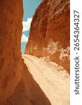Sunlit pathway through red cliffs and rock formations on hike in bryce canyon national park utah on a sunny summer day