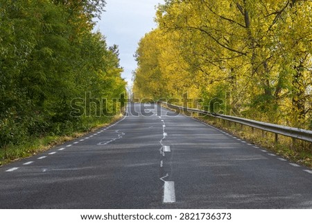 Sunlit paved roadway bordered by golden and green foliage in the Swiss countryside.