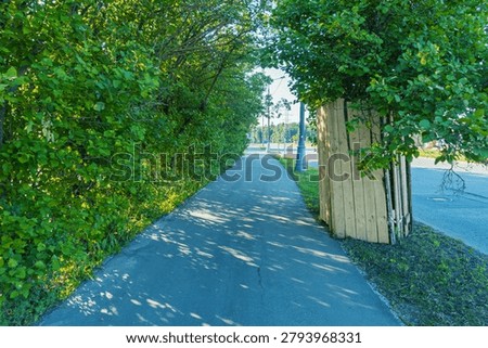 A sunlit pedestrian path bordered by dense green hedges on the left and a row of young trees with wooden protective guards on the right. Dappled light