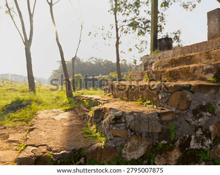Sunlit stone steps climb through rural ruins among trees and grassy fields, evoking a warm, peaceful atmosphere of history, decay and natural regeneration during golden hour light