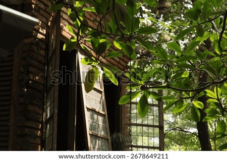 A sunlit view through an open window of a rustic, brick building. The wooden window shutters are ajar, revealing a lush, green outdoor space with trees and foliage.