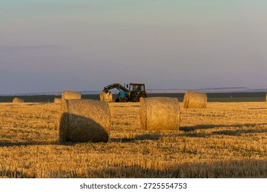 Sunlit wheat field with tractor loading hay bales during sunset, front loader lifting round bale above cut stubble, warm golden light casting long shadows across prairie,