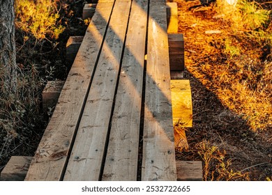 A sunlit wooden boardwalk winds through the swamp, surrounded by proud greenery and plants. The path leads to the shadows, creating a contrast between the light and dark areas. - Powered by Shutterstock