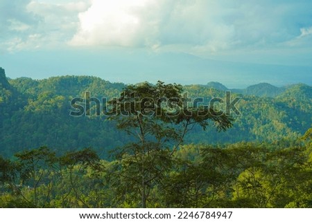 sunny afternoon in the hilly area creates a landscape 
