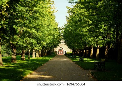 Sunny Afternoon On Cathays Park, A Green Past.