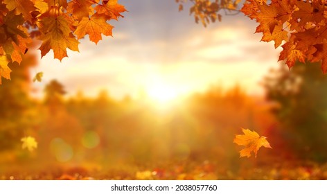 Sunny autumn day with beautiful orange fall foliage in the park. Ground covered in dry fallen leaves lit by bright sunlight. Autumn landscape with maple trees and sun. Natural background - Shutterstock ID 2038057760
