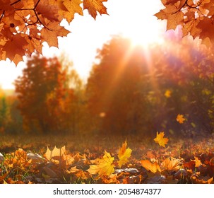 Sunny autumn day with beautiful yellow fall foliage in the park. Ground covered in dry fallen leaves lit by bright sunlight. Colorful forest. Autumn landscape with maple trees and sun.  - Powered by Shutterstock