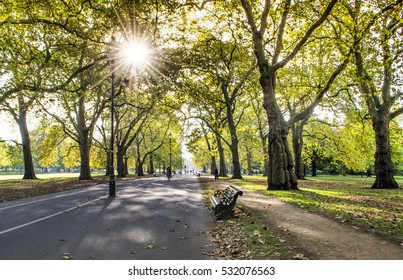 Sunny Autumn Day In The Park. Hyde Park, London.