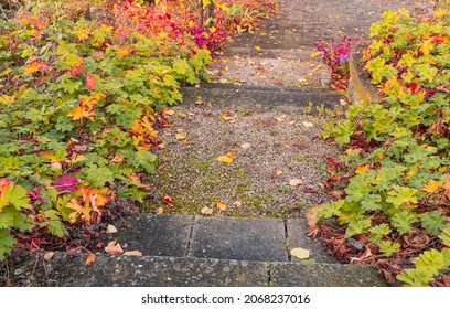 Sunny Autumn Day: Sandstone Stairs With Colorful Leaves