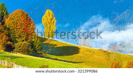 Similar – Image, Stock Photo yellow colored tree in autumn