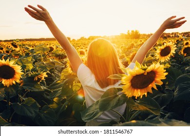 Sunny beautiful picture of young cheerful girl holding hands up in air and looking at sunrise or sunset. Stand alone among field of sunflowers. Enjoy moment