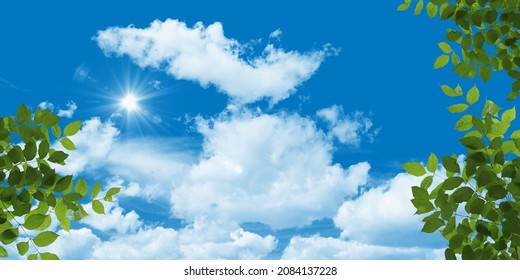 Sunny Blue Sky, Beautiful Clouds And Green Tree Leaves. Bottom Up View Photo.