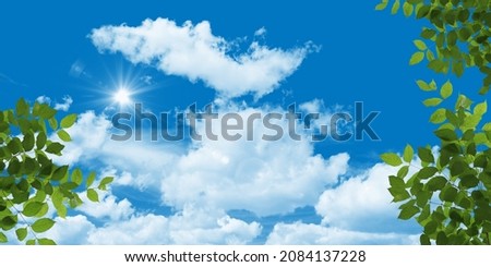 Sunny blue sky, beautiful clouds and green tree leaves. bottom up view photo.