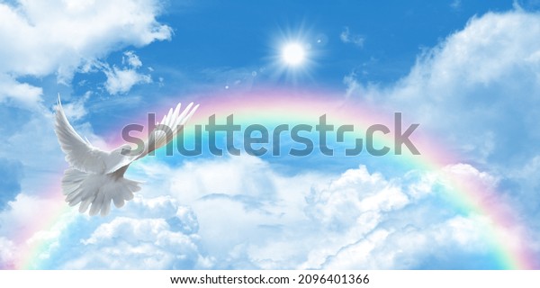 Sunny blue sky and rainbow background. Dove flying towards white fluffy clouds with rainbow.