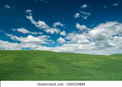 Sunny Clouds Fields. Bright Summer. Landscape