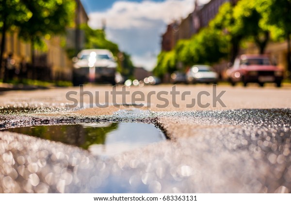 Sunny day\
after the rain in the city, parked on the street cars on the\
background of the facades of the house and trees. Close up view\
from the level of the puddle on the\
pavement