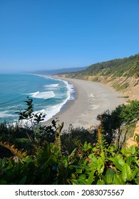 Sunny Day At Agate Beach