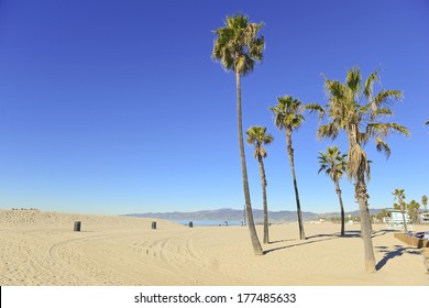 Sunny Day At The Beach With Palm Trees, Southern California