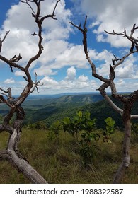 Sunny Day In Chapada Dos Guimaraes, Brazil