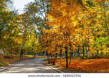 Similar – Image, Stock Photo autumn morning Environment