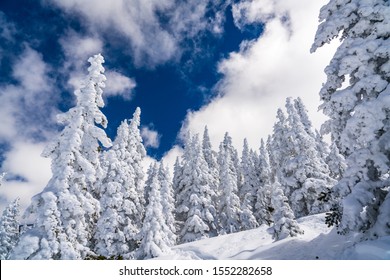 New Mexico Snow Images Stock Photos Vectors Shutterstock