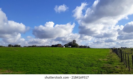 Sunny Day In A Farm In Uruguay