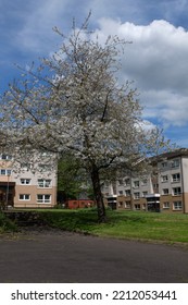 A Sunny Day In Glasgow City Centre Scotland On Spring 2018