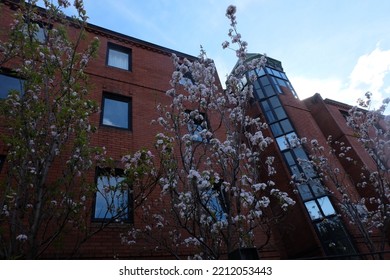 A Sunny Day In Glasgow City Centre Scotland On Spring 2018