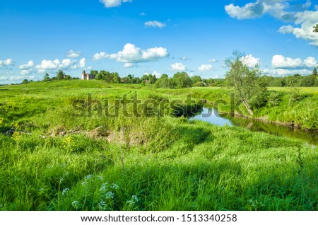 Sunny day, meadows and vegetation, blue sky. Peksha River. Nature in the summer. Aleksino village in the Vladimir region, Russia