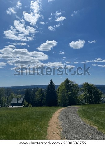 Sunny day at Medard Lake near Sokolov, Czech Republic, featuring clear water, forest views, and a modern lookout tower surrounded by nature and bike trails.