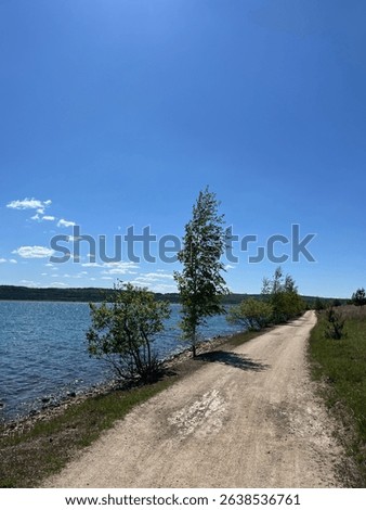 Sunny day at Medard Lake near Sokolov, Czech Republic, featuring clear water, forest views, and a modern lookout tower surrounded by nature and bike trails.