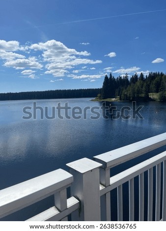 Sunny day at Medard Lake near Sokolov, Czech Republic, featuring clear water, forest views, and a modern lookout tower surrounded by nature and bike trails.