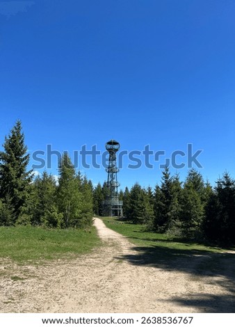 Sunny day at Medard Lake near Sokolov, Czech Republic, featuring clear water, forest views, and a modern lookout tower surrounded by nature and bike trails.