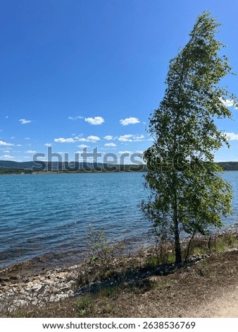 Sunny day at Medard Lake near Sokolov, Czech Republic, featuring clear water, forest views, and a modern lookout tower surrounded by nature and bike trails.