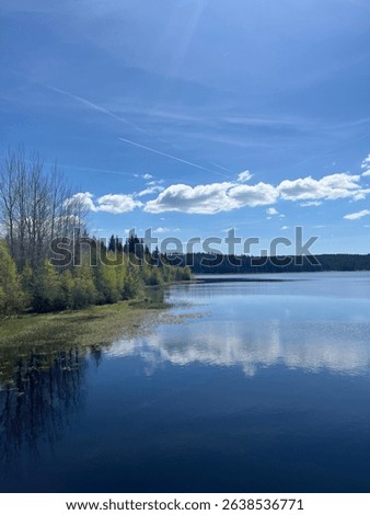 Sunny day at Medard Lake near Sokolov, Czech Republic, featuring clear water, forest views, and a modern lookout tower surrounded by nature and bike trails.