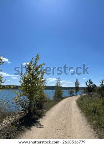 Sunny day at Medard Lake near Sokolov, Czech Republic, featuring clear water, forest views, and a modern lookout tower surrounded by nature and bike trails.