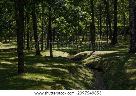 Similar – Image, Stock Photo Path in an oak grove path