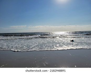 Sunny Day On The Beach Playing Frisbee With The Dog!