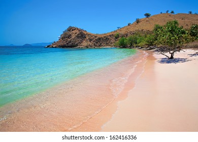 Sunny Day On Pink Beach In Komodo National Park