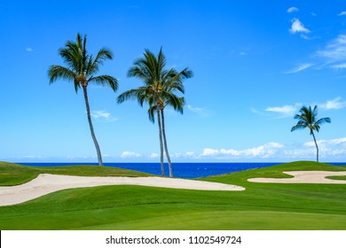 Sunny day on a tropical golf course fairway with palm trees, sand traps, blue pacific ocean, and blue sky and white clouds in the background
