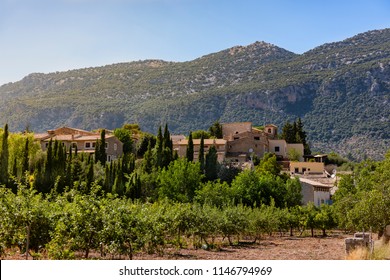 Sunny Day In Orient, A Small Town In Mallorca