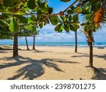 Sunny day in the spring of northeastern Brazil. Boa Viagem Beach, Recife, Brazil.